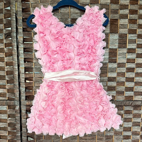 Girls 2T Le Pink Rosette Dress with Bow roses boutique EUC - Picture 4 of 4